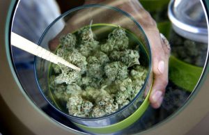 Nueva Jersey a un paso de legalizar la marihuana
