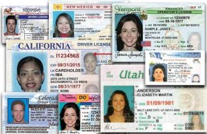 Indocumentados ya pueden solicitar licencias de conducir en Nueva York