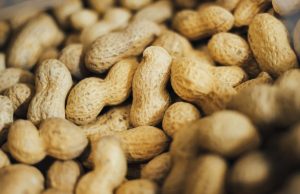 Los frutos secos tienen muchas propiedades