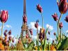 Francia se prepara para el desconfinamiento, desde el 3 de mayo