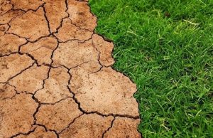 Millones de personas podrían sufrir escasez de agua y alimentos en los próximos 30 años
