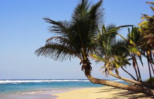 Punta Cana se destaca por su maravilloso clima todo el año
