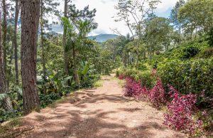 Clústeres presentan destino de la Ruta Cibao Sur: de la Montaña al Mar a tour operadores y agencias de viajes de Chile