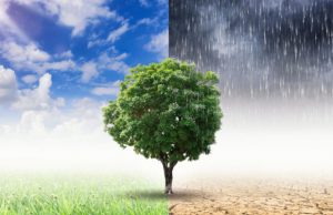 Cambio climático cae del 76% en 2011 a 67% en 2021, Preocupación en la Rep. Dom.