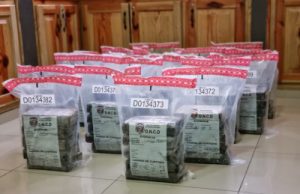 DNCD ocupa 38 paquetes de cocaína