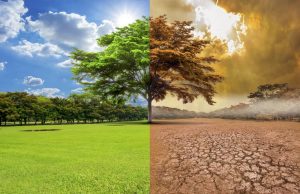 Cambio climático puede desencadenar la próxima pandemia