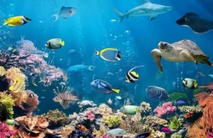 LA OMT EN COP27: UNIENDO EL TURISMO EN TORNO A PLANES DE ACCIÓN CLIMÁTICA
