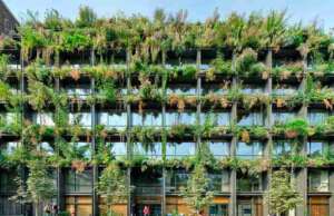 El ‘Edificio del Año’ es un centro de salud cubierto de plantas medicinales