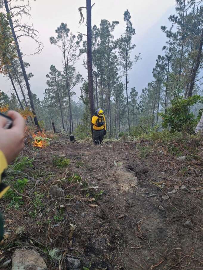 Medio Ambiente informa incendio forestal en Valle Nuevo está controlado