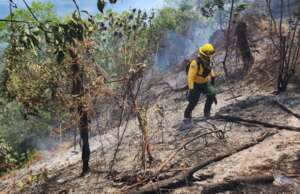 Medio Ambiente identifica responsables de crear algunos incendios en zonas de RD; cantidad de siniestros disminuye