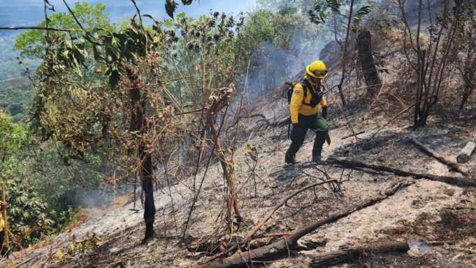 Medio Ambiente identifica responsables de crear algunos incendios en zonas de RD; cantidad de siniestros disminuye