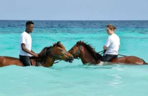 “Swin Horse”: Oferta turística de República Dominicana se diversifica e innova