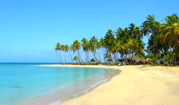 Miche-Playa-Esmeralda-585x343