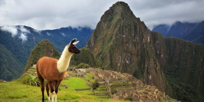 WTTC ,reveló un gran incremento en la llegada de viajeros internacionales en Latinoamérica.