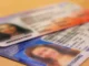 Intrant Garantiza que Modernización del Sistema de Licencias de Conducir No Implicará Aumento en Costos para los Ciudadanos