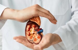 Detección temprana de enfermedad renal puede prevenir ataques cardíacos y accidentes cerebrovasculares