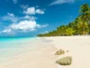 Copa Airlines anuncia nueva ruta a Puerto Plata y retoma vuelos a Santiago de los Caballeros