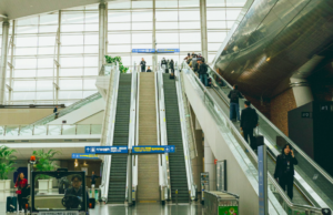 CDR se une al WTTC como miembro global: una apuesta por el liderazgo humano en turismo