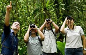 Aviturismo: el vuelo alto del turismo sostenible en América Latina