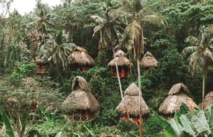 Samaná impulsa el turismo sostenible con Dominican Tree House Village como referente ecológico en el Caribe