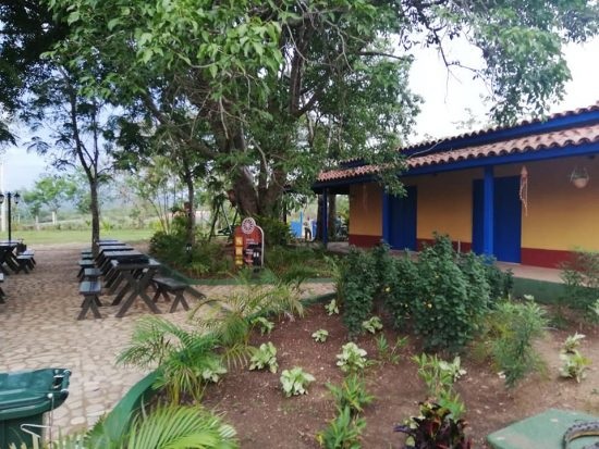 Tur-Desarrollo-1