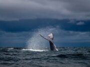 Samaná será sede de la tercera edición de la feria “Turismo y Atracciones 2026”, dedicada a China