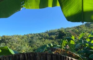 COMUNIDAD DE LA “ESCALERA” POSEE UN TURISMO RURAL QUE DEJA EL GUION DE LA CIUDAD PARA VIVIR UNA EXPERIENCIA ÚNICA.