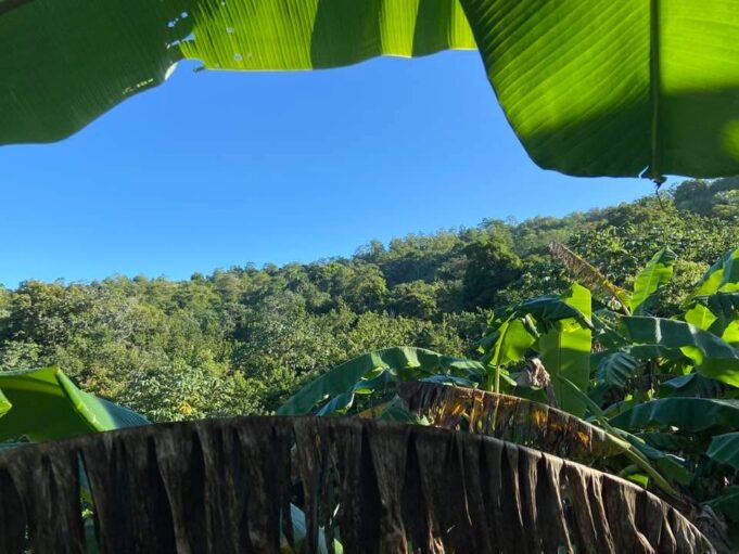 COMUNIDAD DE LA “ESCALERA” POSEE UN TURISMO RURAL QUE DEJA EL GUION DE LA CIUDAD PARA VIVIR UNA EXPERIENCIA ÚNICA.