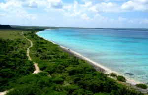 Academia de Ciencias y UASD cuestionan sentencia del TSA que busca modificar límites del Parque Nacional Jaragua