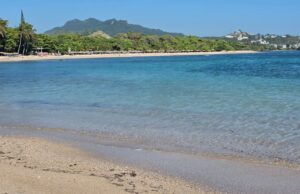 Alcaldia, Turismo, Medio Ambiente, Océanos Limpios continuan programa de Playas Limpias
