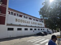 Leonardo Medrano destaca la excelencia de los vinos españoles tras visitar más de diez viñedos y bodegas