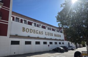 Leonardo Medrano destaca la excelencia de los vinos españoles tras visitar más de diez viñedos y bodegas